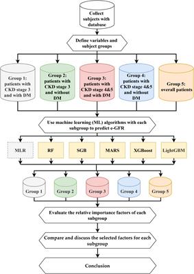 An integrated machine learning predictive scheme for longitudinal laboratory data to evaluate the factors determining renal function changes in patients with different chronic kidney disease stages